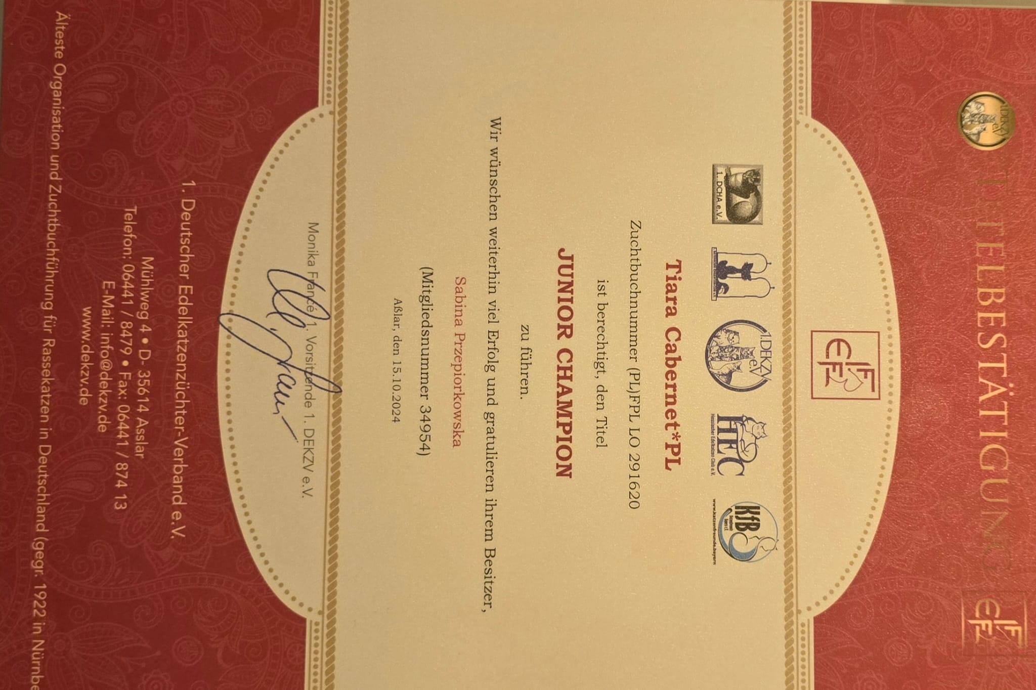 Cat show award